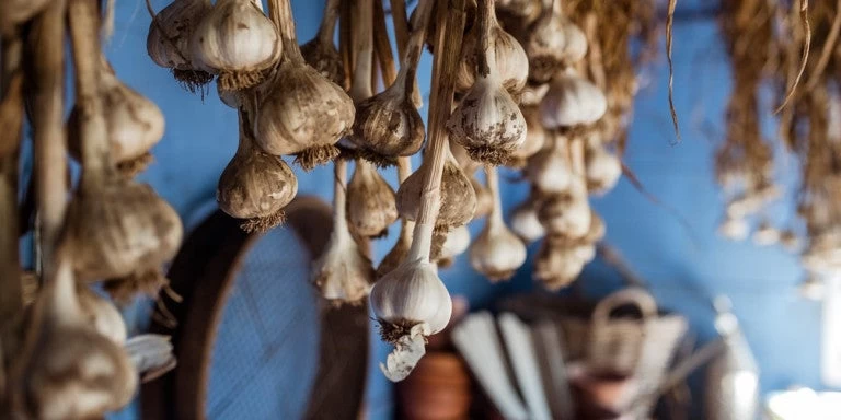 Το μαγειρικό κόλπο που ενεργοποιεί την αντικαρκινική δράση του σκόρδου